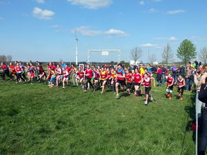 爱游戏娱乐平台-中国篮球青少年篮球发展政策落实与推广，中国青少年篮球发展现状