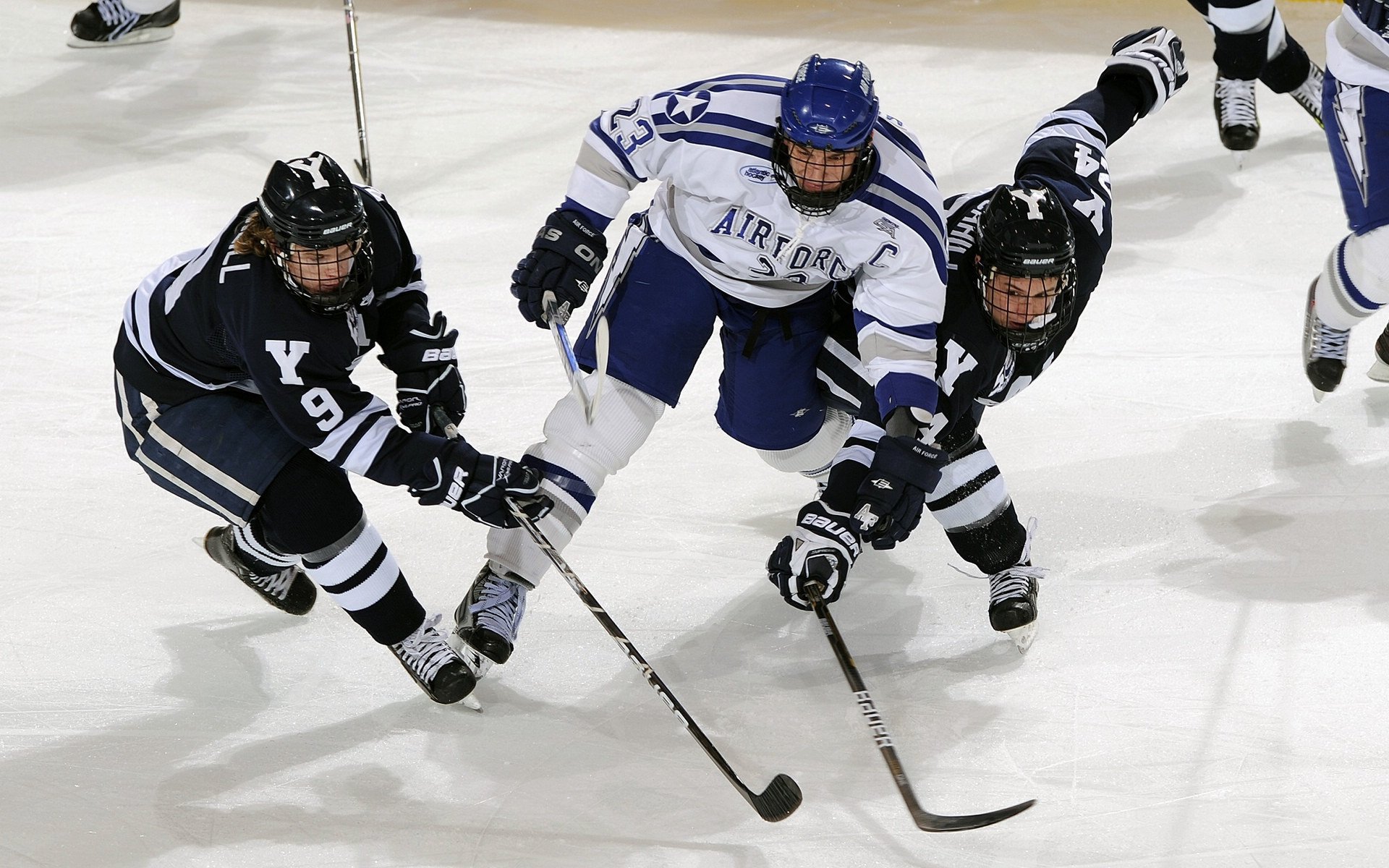 西雅图海湾者防守密集,阻击对手锋线,西雅图海湾人球衣